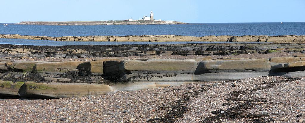 Coquet island