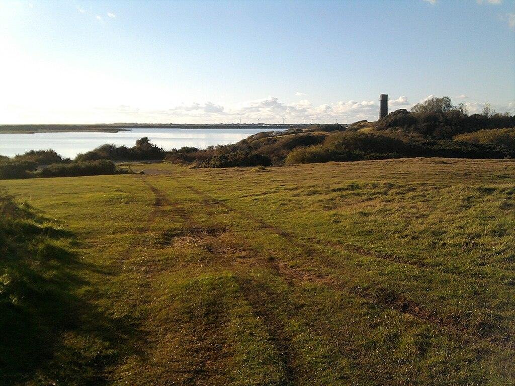 Grassy field leading to a lake with a tall tower in the distance under a clear blue sky.