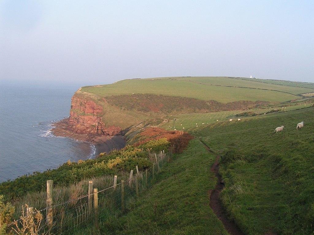 Coastal cliff with green fields, a footpath, and a few grazing sheep.