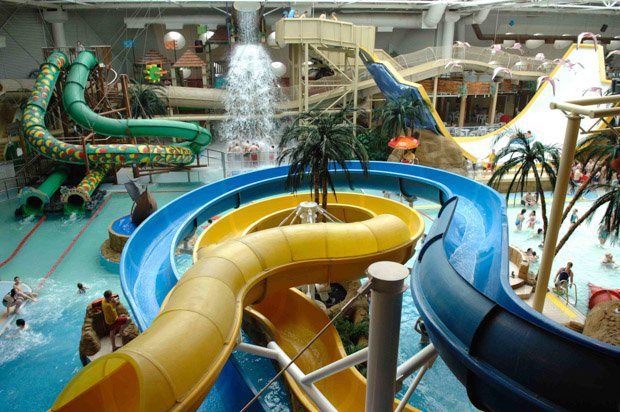 Indoor water park with multiple colourful water slides, palm trees, and people swimming.