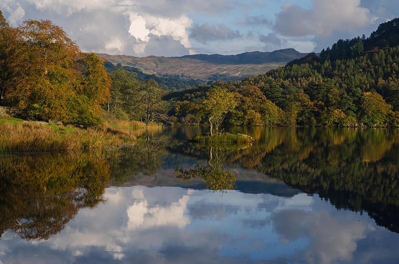 A small tree on an island in a reflective lake surrounded by autumnal trees and distant mountains under a cloudy sky.