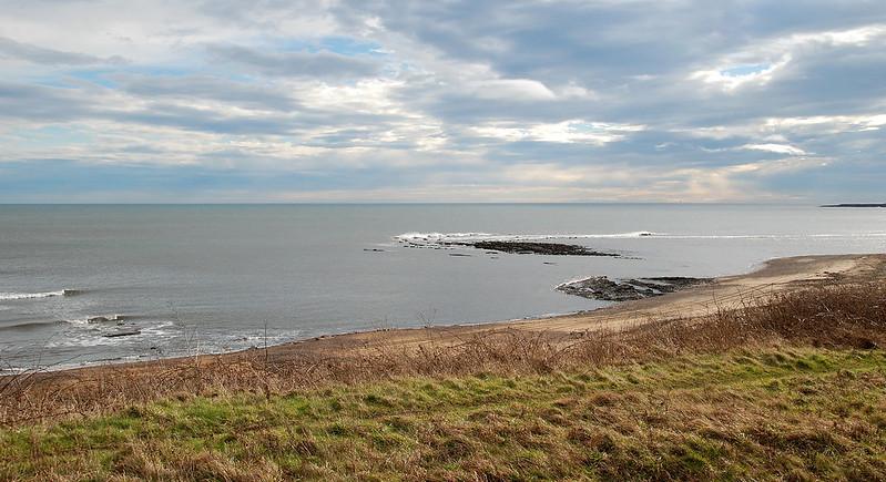 Grassy coastal landscape with a beach and calm sea under a cloudy sky.