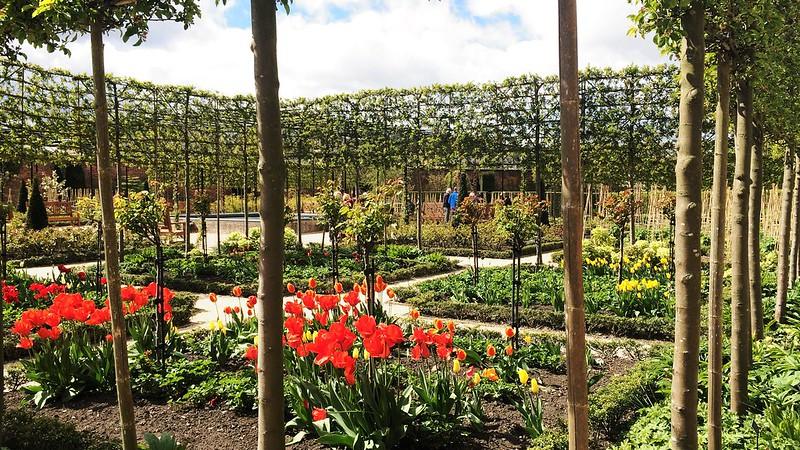 A well-maintained garden with vibrant red tulips, yellow flowers, green shrubs, and young trees arranged in a symmetrical pattern. Trellises and a person in the background are visible.