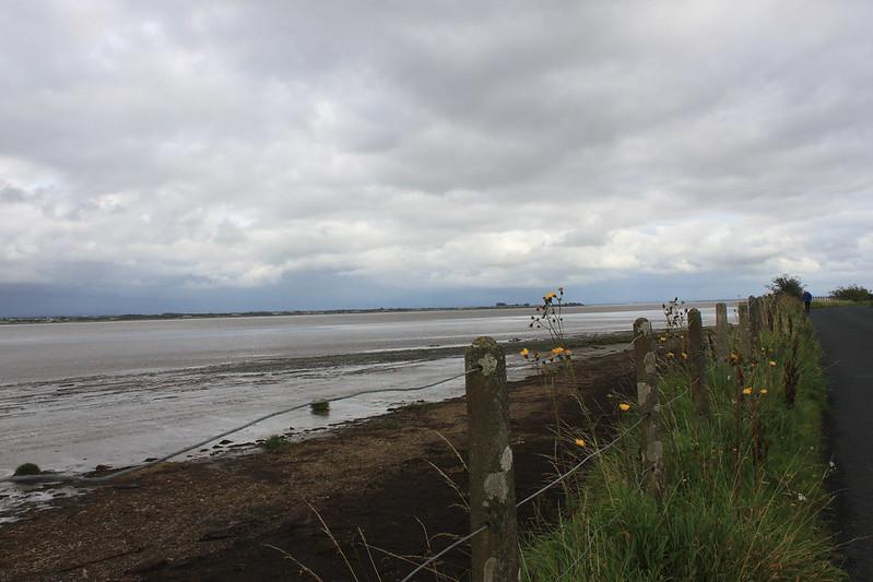 A coastal view with a cloudy sky, a tidal flat, and a grassy shoreline lined with a fence and wildflowers.