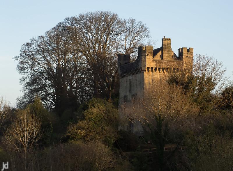 Ancient stone tower partially obscured by trees with large, leafless branches in the background, bathed in golden sunlight.