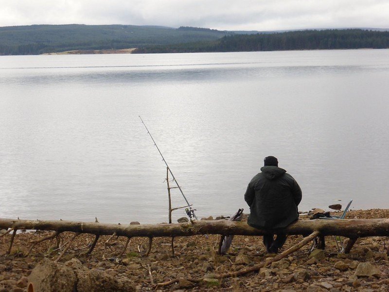 A person sitting on a log by a lake with fishing rods set up, under a cloudy sky.