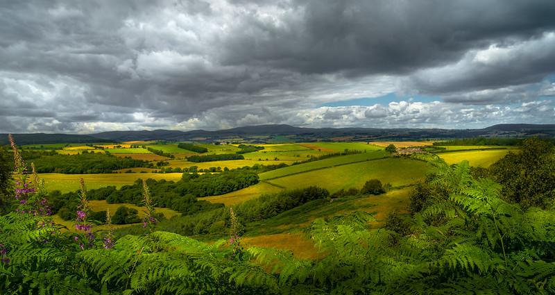 Northumberland National Park | Panoramic view of a lush green countryside with fields, trees, and rolling hills under a cloudy sky.