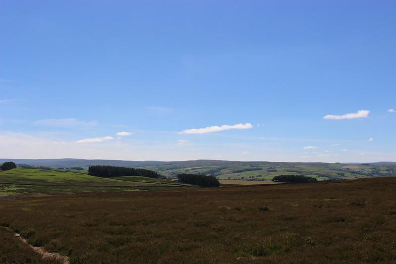 A panoramic view of a brown moorland with patches of green fields and forests under a clear blue sky.