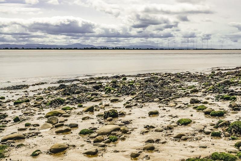 Rocky shore with seaweed-covered stones, calm water, distant mountains, and cloudy sky.