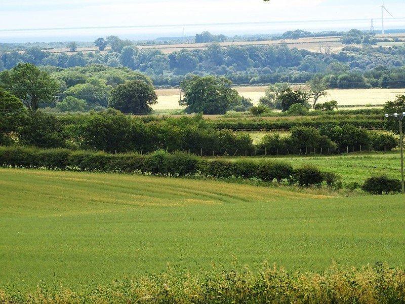 Rolling countryside with green fields, hedgerows, and scattered trees under a cloudy sky.