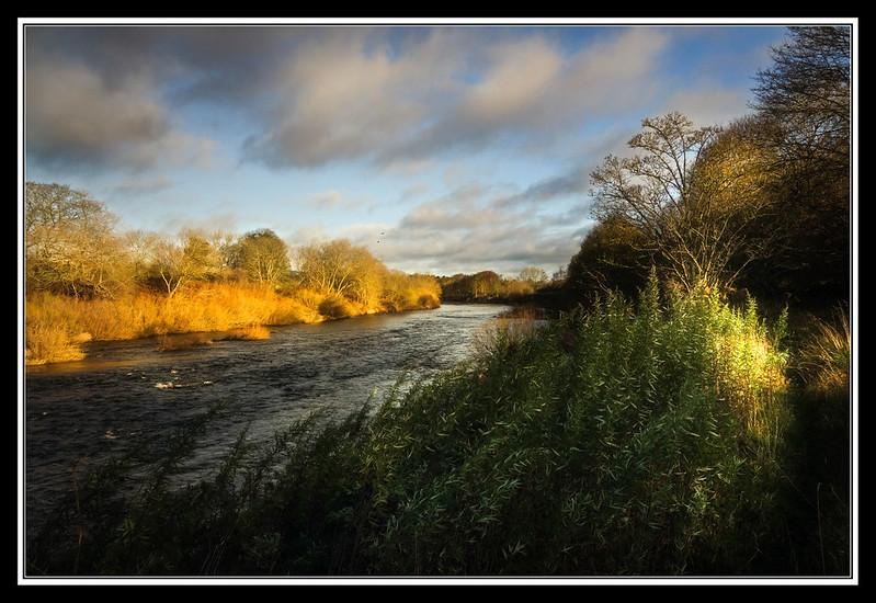 River flowing through lush vegetation with sunlight illuminating autumnal trees under a partly cloudy sky.