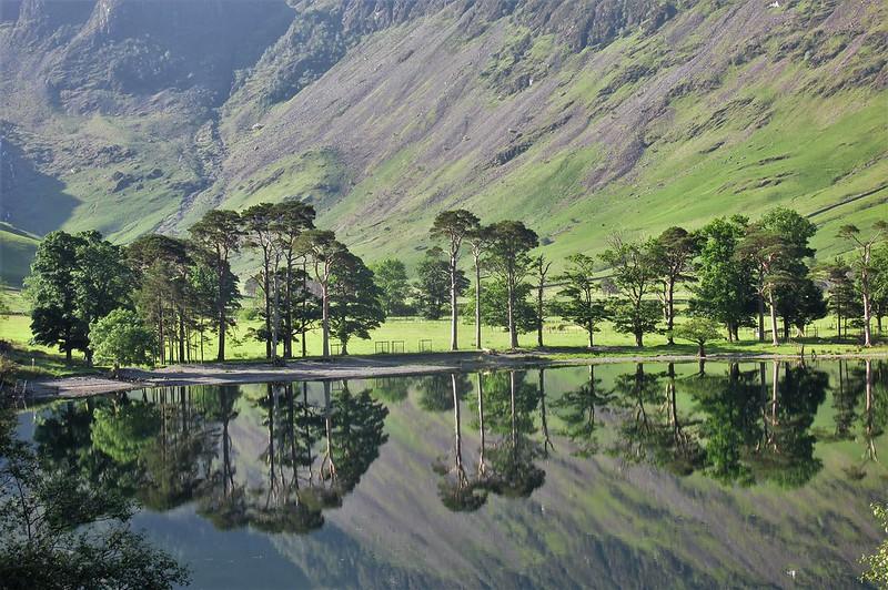 A line of trees reflected in a calm lake with green hills in the background.