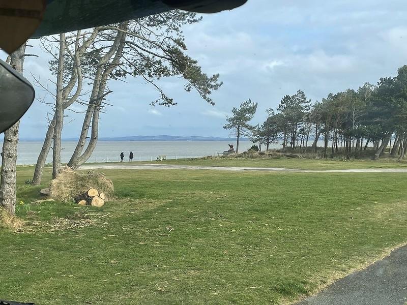 Trees and grassy area by a coastline with people in the distance and a cloudy sky.