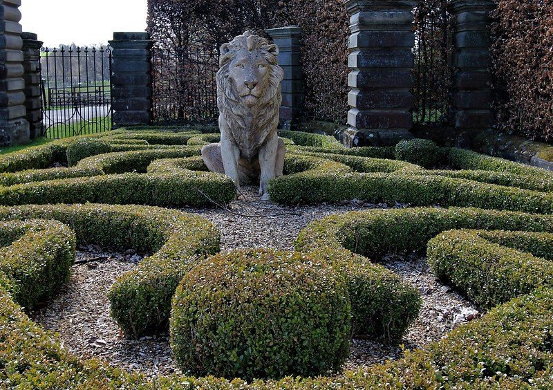 A stone lion statue stands in the centre of a neatly trimmed hedge maze with a gravel path.