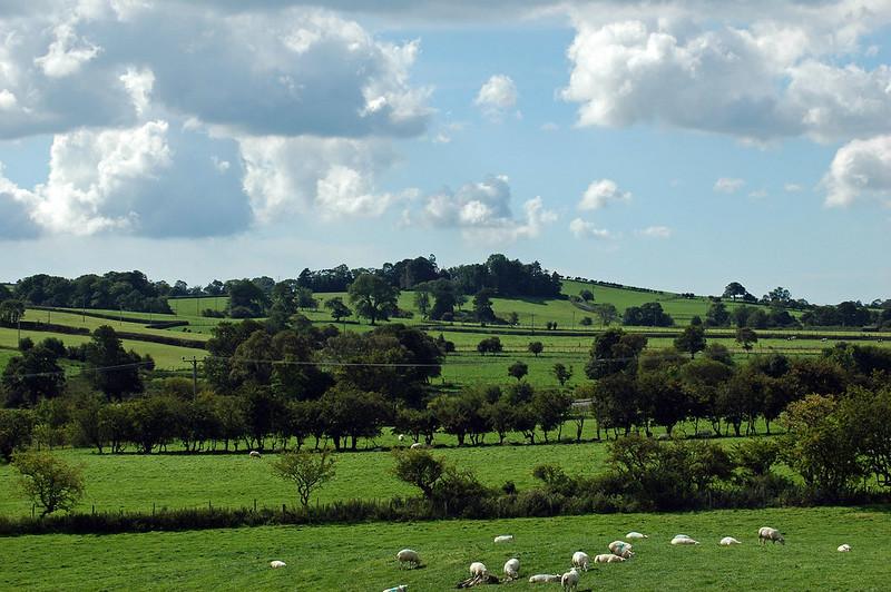 The view from Embleton village, Cumbria | Green rolling hills with scattered trees and grazing sheep under a partly cloudy sky.