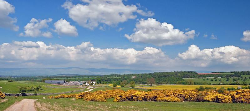 Askham, Cumbria | A scenic countryside landscape featuring rolling green hills, a path leading to a farm, yellow flowering shrubs, scattered trees, and a blue sky with scattered clouds.