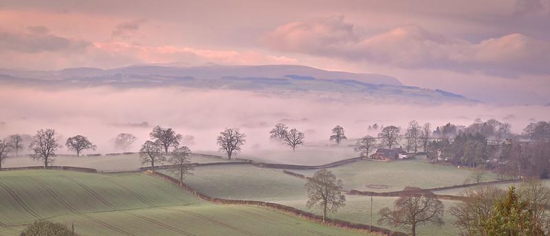 A misty countryside with rolling green fields, scattered trees, and a distant view of hills under a cloudy pink and purple sky.