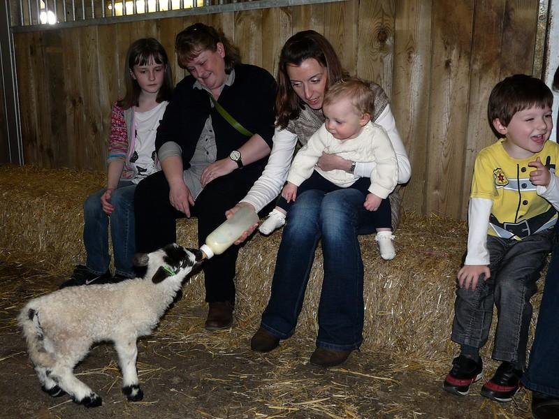 Whitehouse Farm Centre | A woman helps a baby bottle-feed a lamb in a barn, surrounded by other children and an adult sitting on straw bales, with wooden walls in the background.