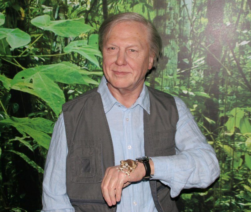 A man with grey hair wearing a blue shirt and vest, holding a frog on his hand, standing in front of a leafy green background.