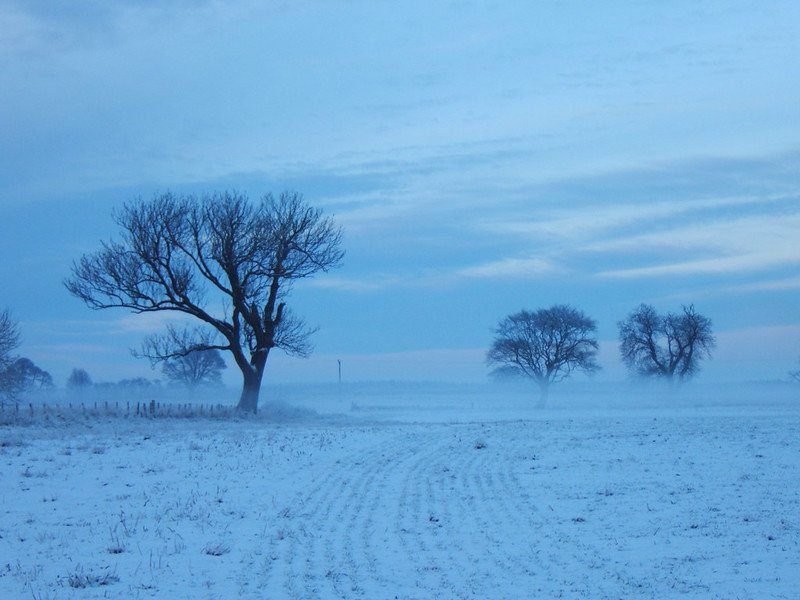 Exploring Acklington, Northumberland: A Glimpse into History, Community, and Lifestyle