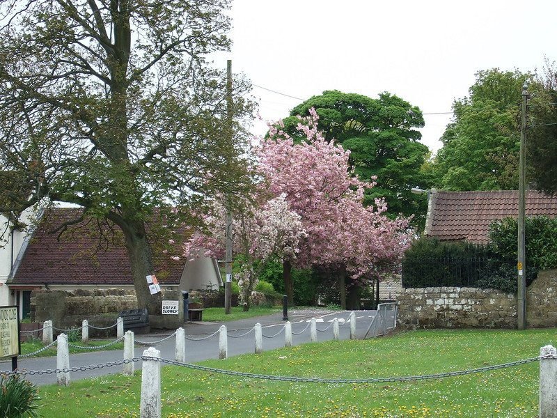 Village scene with blossoming trees, green grass, and rustic buildings with tile roofs.