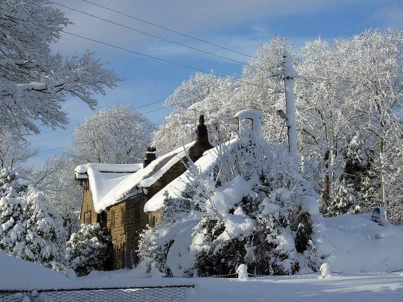 Snow-covered cottage surrounded by trees and shrubs under a bright blue sky.