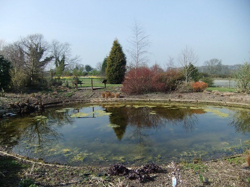 A round pond surrounded by bare trees and shrubs in a garden landscape.