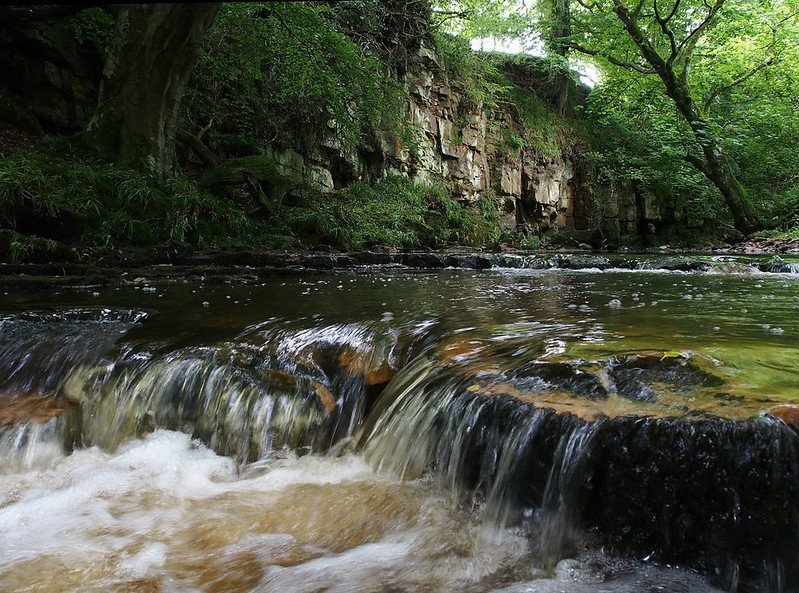 Small waterfall in a forested area with a rocky cliff and lush green trees.