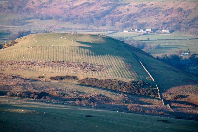 Green hillside with horizontal rows, patches of vegetation, grazing sheep, and a pathway leading up. Rolling hills, fields, and buildings are visible in the background.