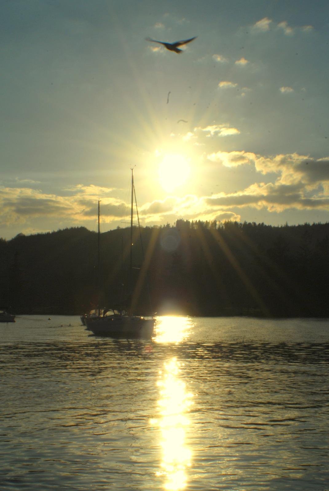 Silhouette of a sailboat on a lake at sunset with sun rays reflecting on the water and a bird flying overhead.