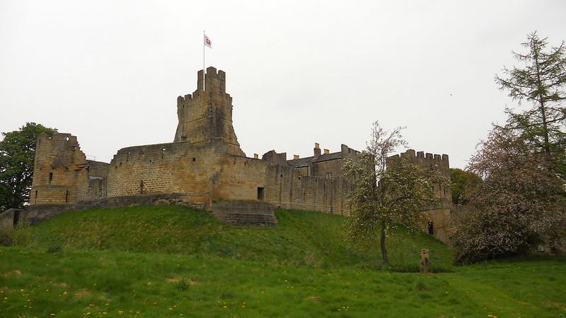 Medieval stone castle on grass-covered hill with a central tower and flag.