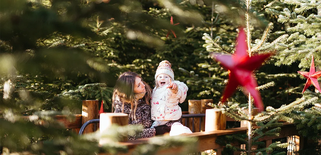 A woman holding a smiling toddler wearing a winter hat and coat, surrounded by evergreen trees decorated with red star ornaments in an outdoor festive setting.
