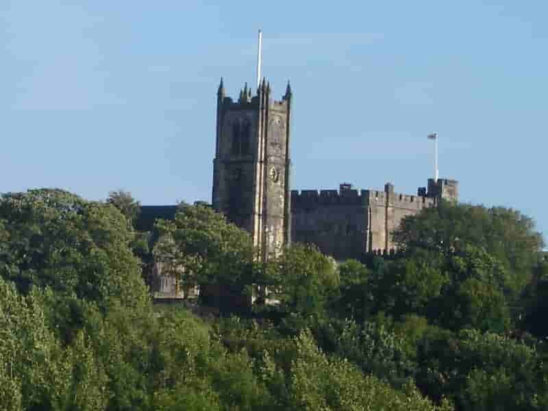 A historic castle partially obscured by lush green trees against a clear blue sky.