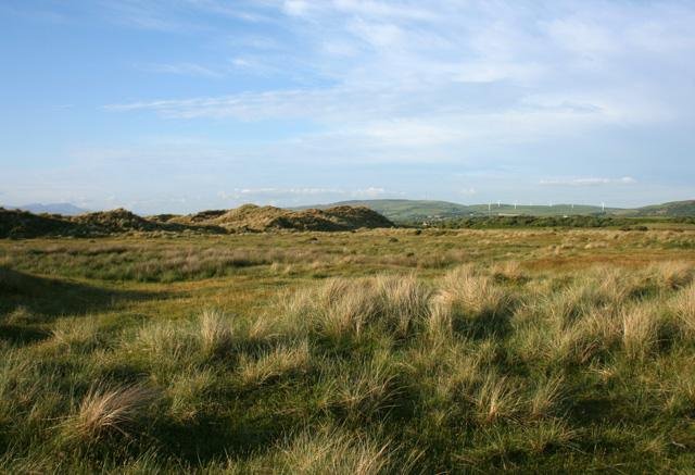 Grassy dunes under a blue sky with distant hills and wind turbines.