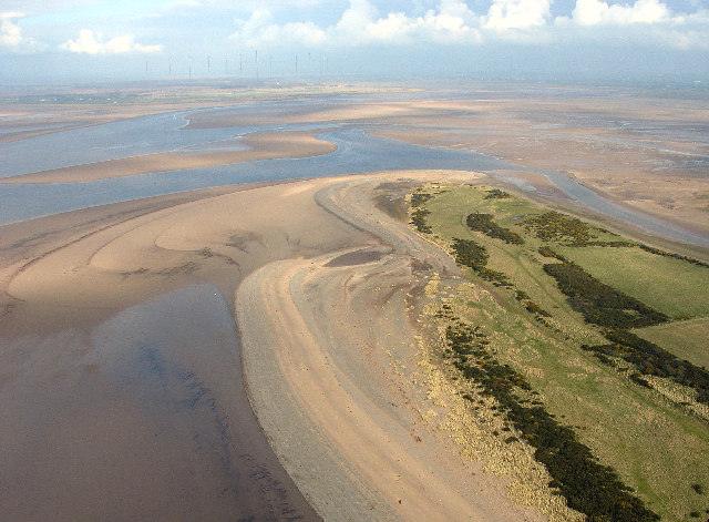 Aerial view of sandy estuary with winding channels and a strip of green land covered in vegetation.