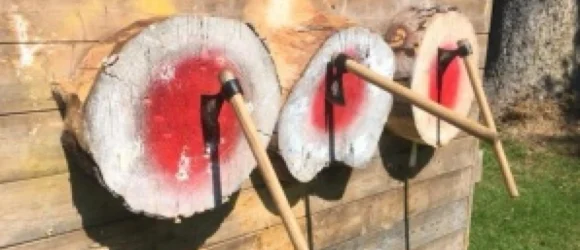 Three axes stuck in wooden targets painted red and white, mounted on a wooden wall.