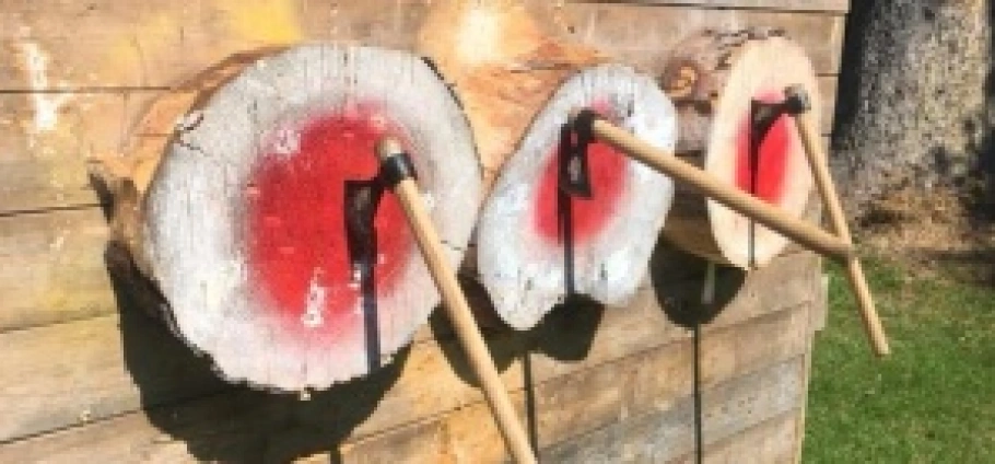 Three axes stuck in wooden targets painted red and white, mounted on a wooden wall.