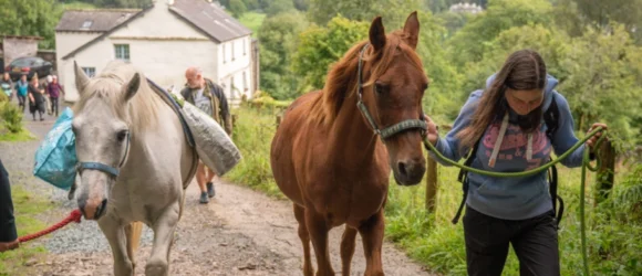 A woman leading two horses along a dirt path, with a house and greenery in the background.