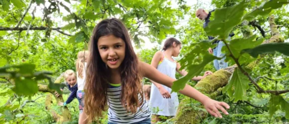 Children climbing on tree branches in a lush, green environment.