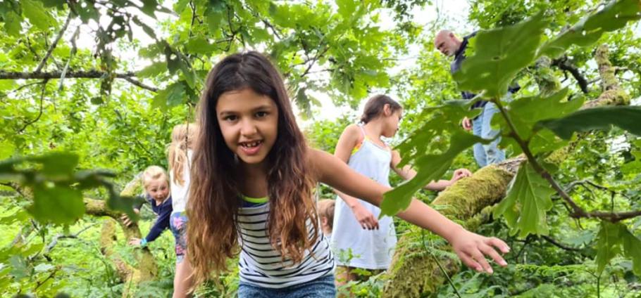 Children climbing on tree branches in a lush, green environment.